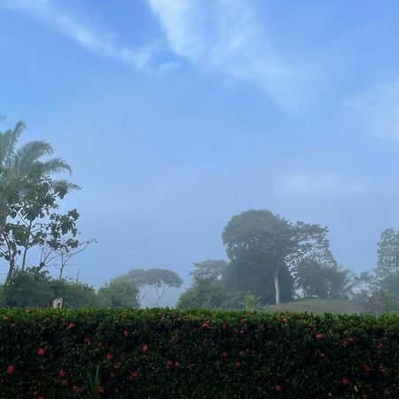 Valles Of Osa Palmar Sur Buitenkant foto