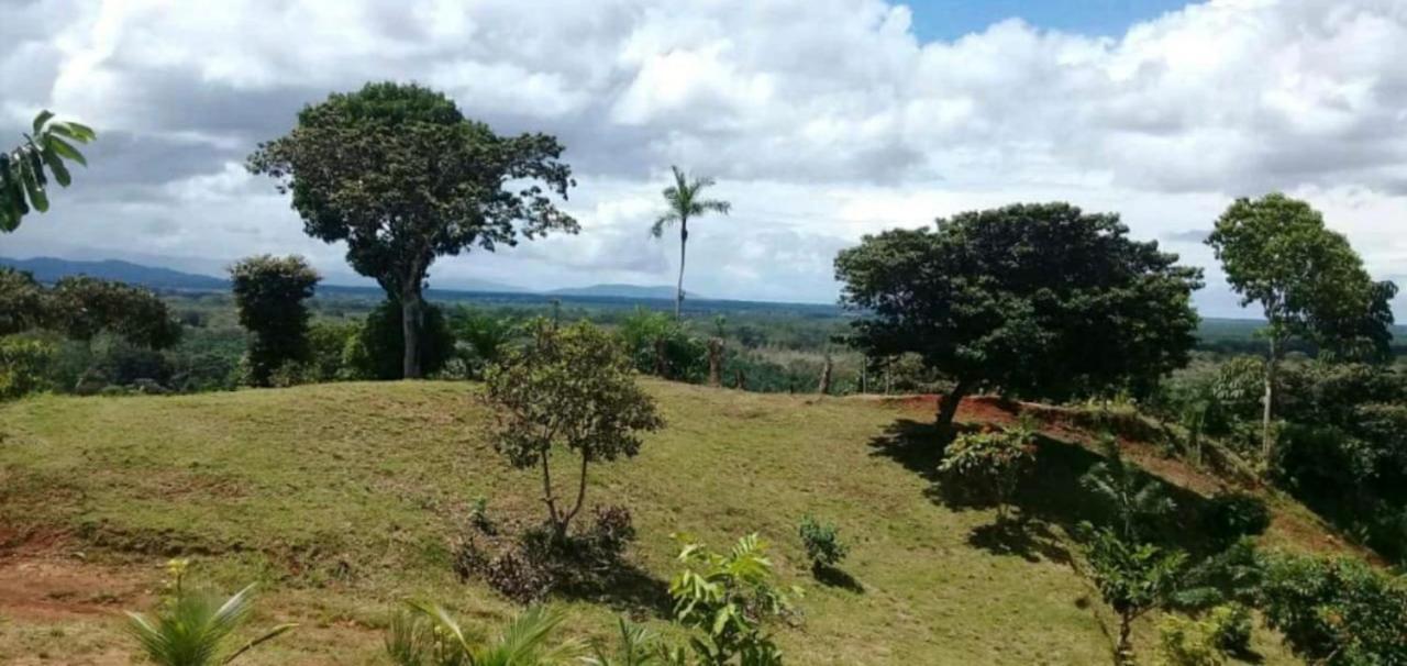Valles Of Osa Palmar Sur Buitenkant foto
