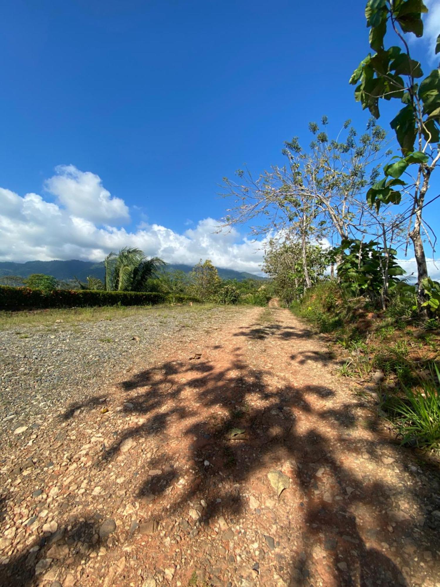 Valles Of Osa Palmar Sur Buitenkant foto